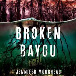book cover for Broken Bayou