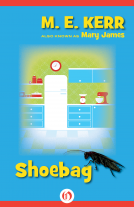 book cover for Shoebag