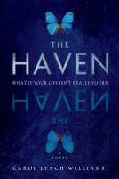 book cover for The Haven