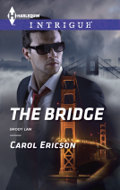 book cover for The Bridge
