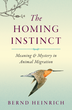 book cover for The Homing Instinct