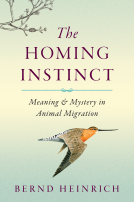 book cover for The Homing Instinct
