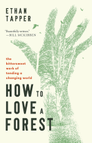 book cover for How to Love a Forest