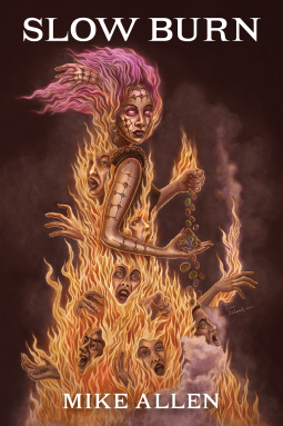 book cover for Slow Burn