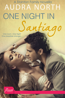 book cover for One Night in Santiago