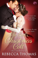 book cover for The Earl's Christmas Colt