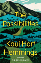 book cover for The Possibilities