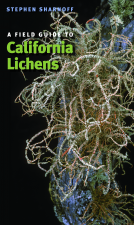 book cover for A Field Guide to California Lichens