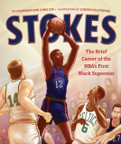 book cover for Stokes
