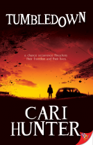 book cover for Tumbledown