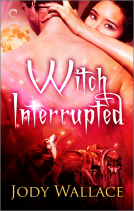 book cover for Witch Interrupted