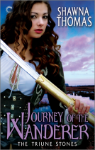 book cover for Journey of the Wanderer