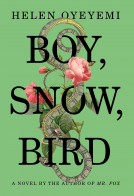 book cover for Boy, Snow, Bird