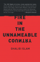 book cover for Fire In The Unnameable Country