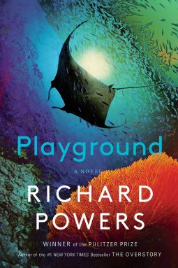 book cover for Playground