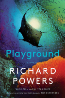 book cover for Playground