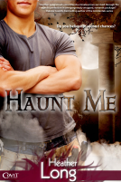 book cover for Haunt Me