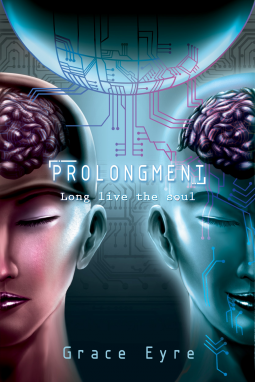 book cover for Prolongment