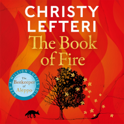 book cover for The Book of Fire