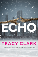 book cover for Echo