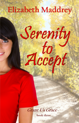 book cover for Serenity to Accept