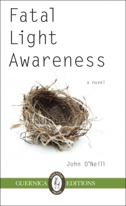 book cover for Fatal Light Awareness