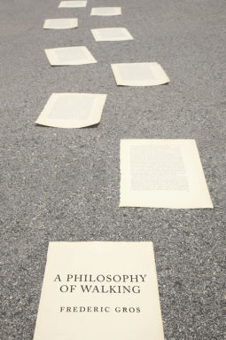 book cover for A Philosophy of Walking
