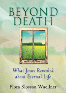 book cover for Beyond Death