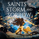 book cover for Saints of Storm and Sorrow