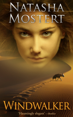 book cover for WINDWALKER