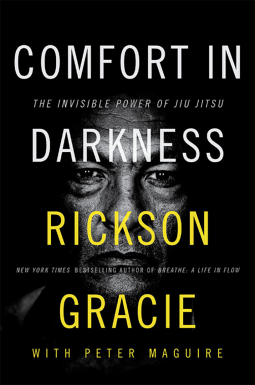 book cover for Comfort in Darkness