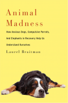book cover for Animal Madness