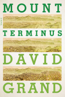 book cover for Mount Terminus