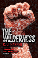 book cover for The Wilderness