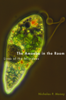 book cover for The Amoeba in the Room
