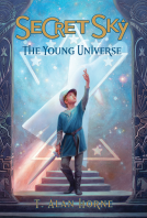 book cover for Secret Sky