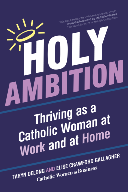 book cover for Holy Ambition