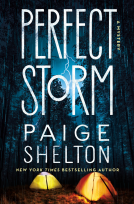 book cover for Perfect Storm