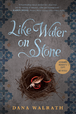 book cover for Like Water on Stone