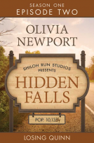 book cover for Hidden Falls: Losing Quinn - Episode 2