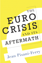 book cover for The Euro Crisis and Its Aftermath