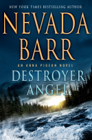 book cover for Destroyer Angel