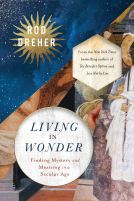 book cover for Living in Wonder