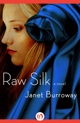 book cover for Raw Silk