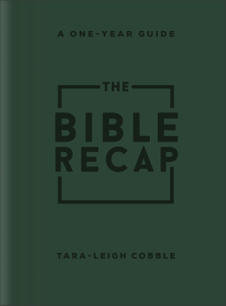 book cover for The Bible Recap