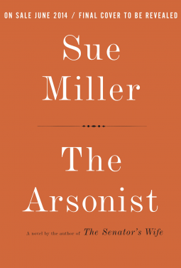 book cover for The Arsonist