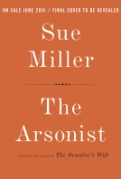 book cover for The Arsonist