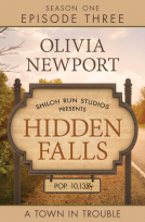 book cover for Hidden Falls: A Town in Trouble - Episode 3
