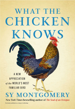 book cover for What the Chicken Knows