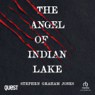 book cover for The Angel of Indian Lake